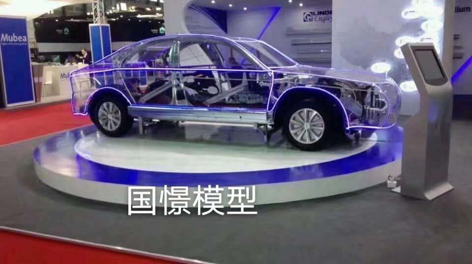 洞口县透明车模型